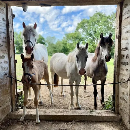Between Horses And Mont-saint-michel